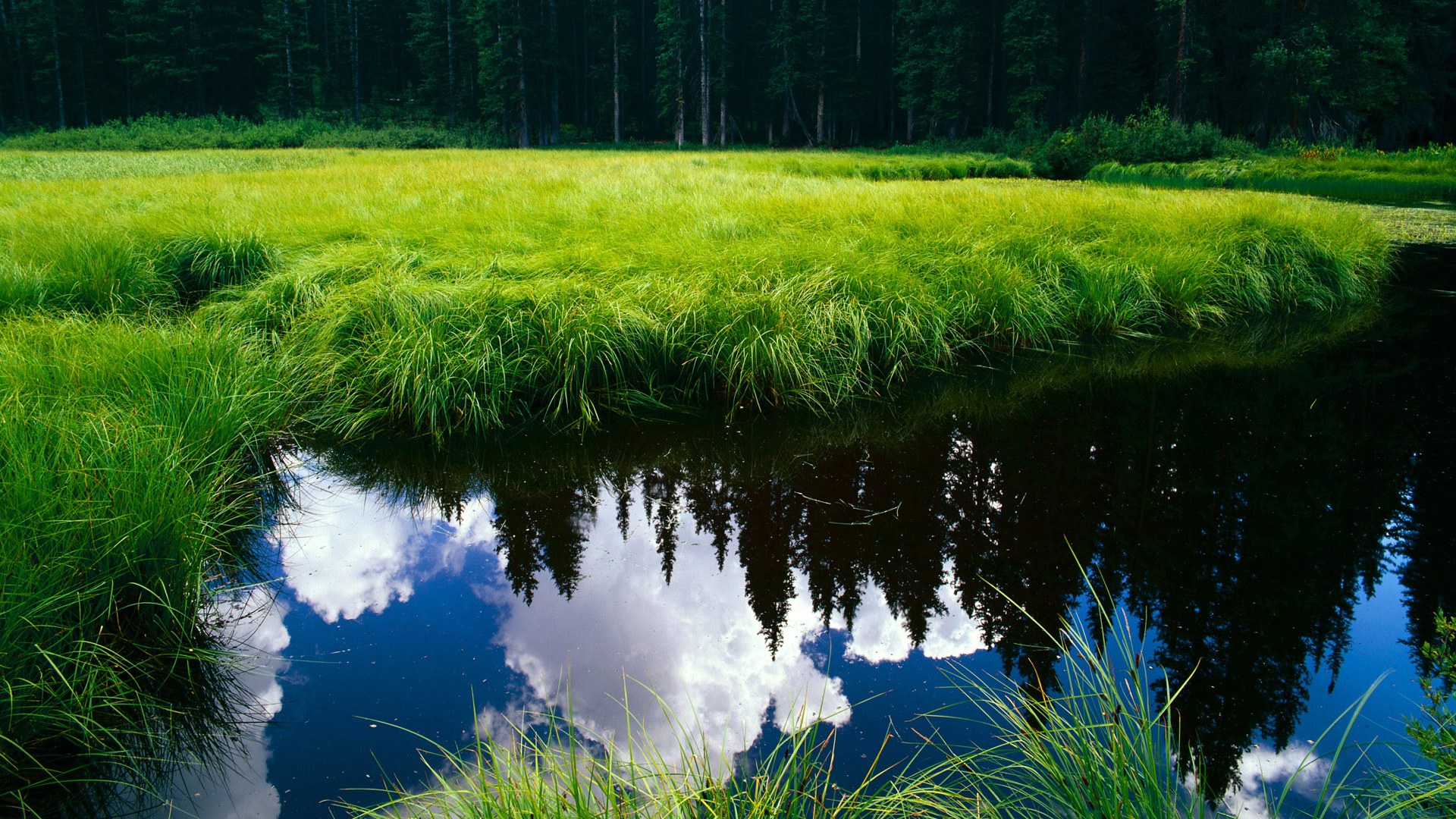 埃文·富尼耶在NBA常规赛中表现出色,埃文富尼耶什么水平